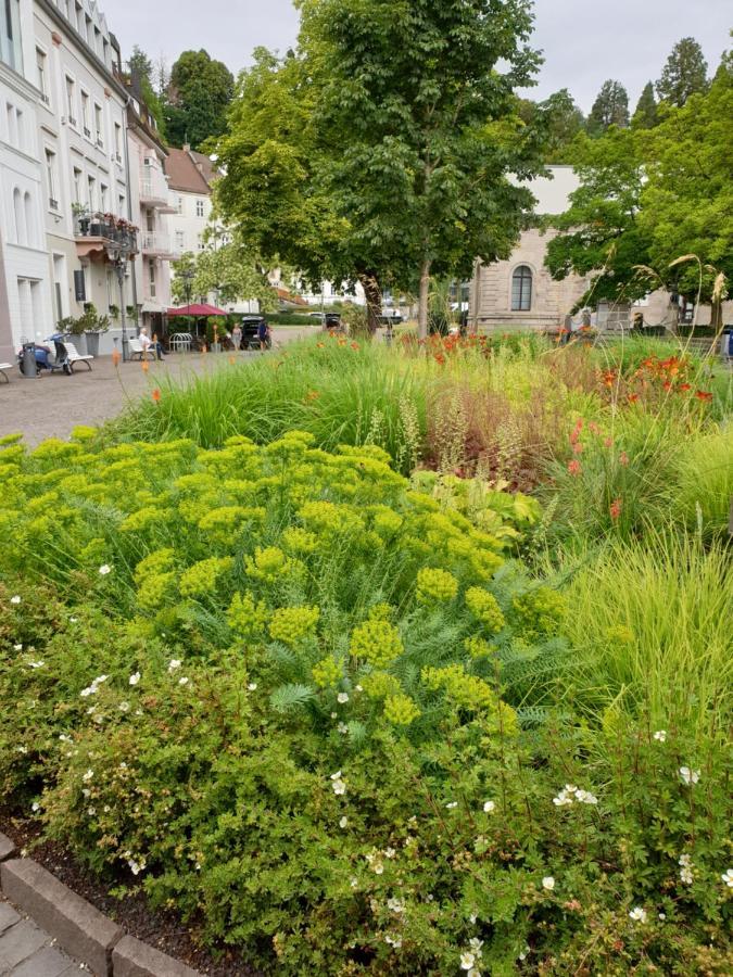 Sophienstrasse Appartement Baden-Baden Kültér fotó